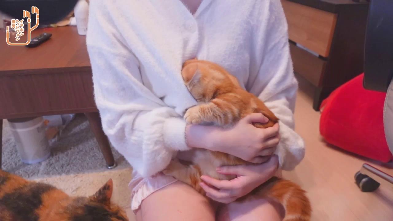 yamingchannel - 20221122[00-01-06][20221125-212059881].jpg